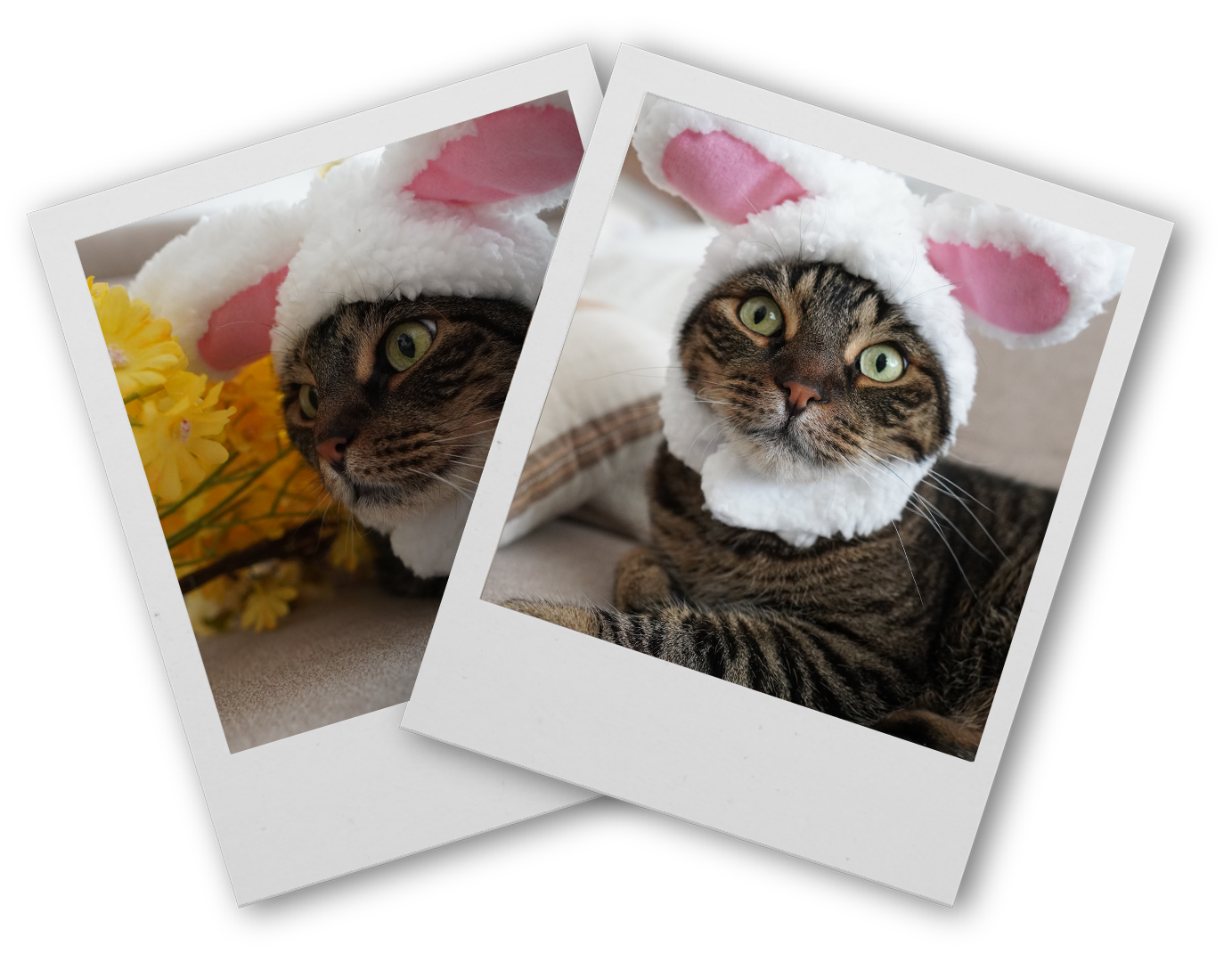 Clean & Cook Webshop